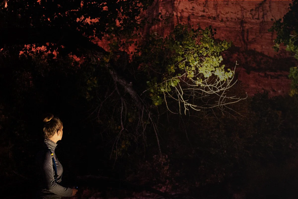 Zoom 110R | 110 Lumens | Rechargeable - Image 2
